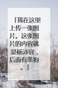 我在这里上传一张图片。这张图片的内容就是杨沛宜,后面有条狗。