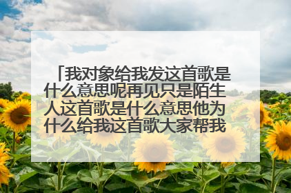 我对象给我发这首歌是什么意思呢再见只是陌生人这首歌是什么意思他为什么给我这首歌大家帮我分析一下吧？