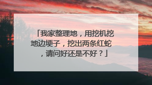 我家整理地,用挖机挖地边埂子,挖出两条红蛇,请问好还是不好?