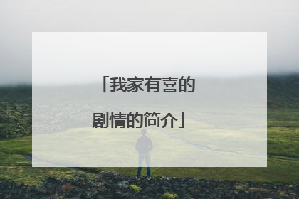 我家有喜的剧情的简介