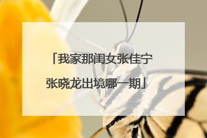 我家那闺女张佳宁张晓龙出境哪一期