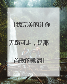 我完美的让你无路可走，是那首歌的歌词