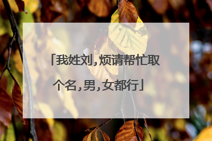 我姓刘,烦请帮忙取个名,男,女都行