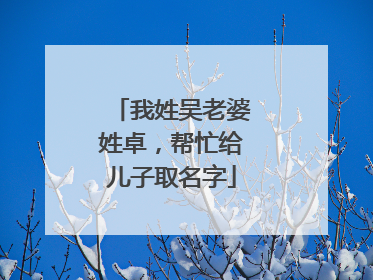 我姓吴老婆姓卓，帮忙给儿子取名字