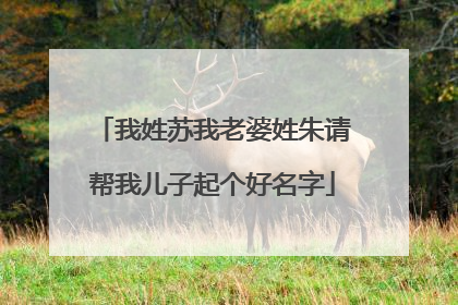 我姓苏我老婆姓朱请帮我儿子起个好名字