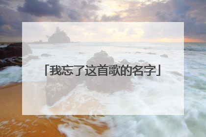 我忘了这首歌的名字