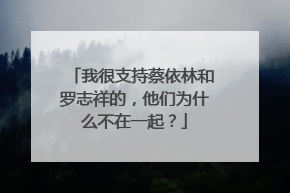我很支持蔡依林和罗志祥的,他们为什么不在一起?