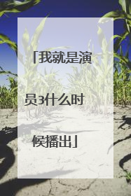 我就是演员3什么时候播出