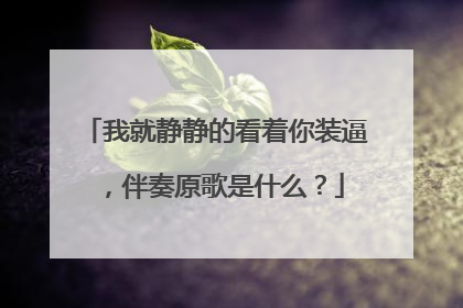 我就静静的看着你装逼,伴奏原歌是什么?
