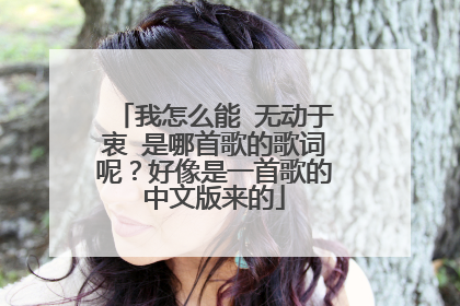 我怎么能 无动于衷 是哪首歌的歌词呢？好像是一首歌的中文版来的