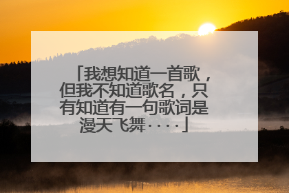我想知道一首歌，但我不知道歌名，只有知道有一句歌词是漫天飞舞····