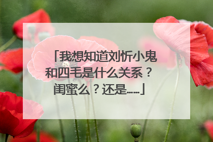 我想知道刘忻小鬼和四毛是什么关系？闺蜜么？还是……