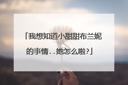 我想知道小甜甜布兰妮的事情..她怎么啦?