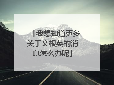 我想知道更多关于文根英的消息怎么办呢
