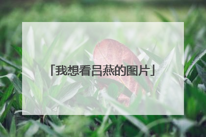 我想看吕燕的图片