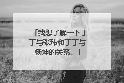 我想了解一下丁丁与张玮和丁丁与杨坤的关系。