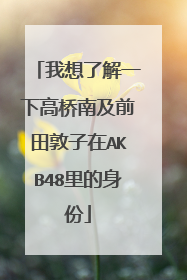 我想了解一下高桥南及前田敦子在AKB48里的身份