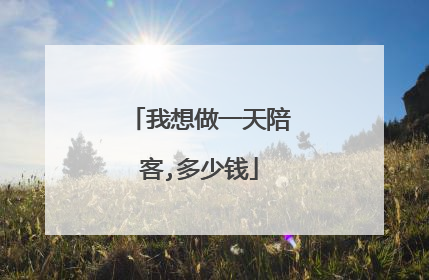 我想做一天陪客,多少钱