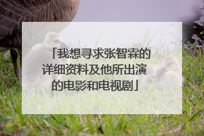 我想寻求张智霖的详细资料及他所出演的电影和电视剧