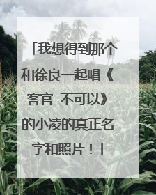 我想得到那个和徐良一起唱《客官 不可以》的小凌的真正名字和照片！