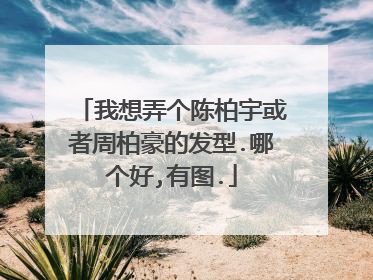 我想弄个陈柏宇或者周柏豪的发型.哪个好,有图.