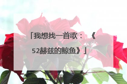 我想找一首歌： 《52赫兹的鲸鱼》