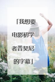 我想要电影初学者普契尼的字幕