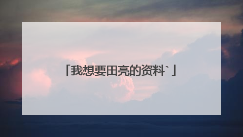 我想要田亮的资料`