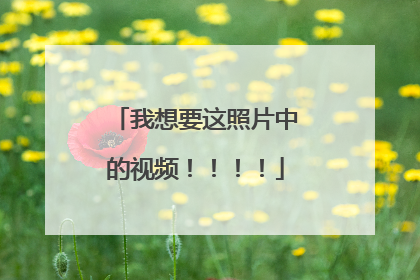 我想要这照片中的视频!!!!