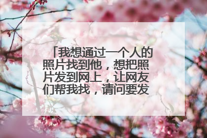 我想通过一个人的照片找到他,想把照片发到网上,让网友们帮我找,请问要发到哪个网上