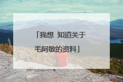 我想 知道关于毛阿敏的资料