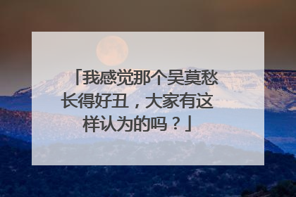 我感觉那个吴莫愁长得好丑，大家有这样认为的吗？