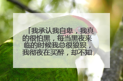 我承认我自卑，我真的很怕黑，每当黑夜来临的时候我总很狼狈，我彻夜在买醉，却不知谁是谁是什么歌