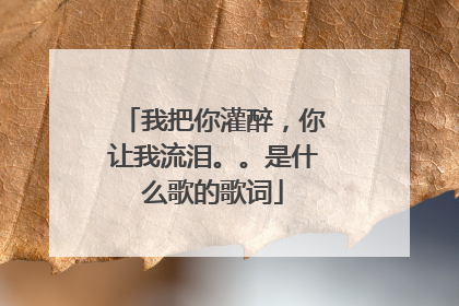 我把你灌醉，你让我流泪。。是什么歌的歌词