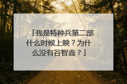 我是特种兵第二部什么时候上映？为什么没有谷智鑫？