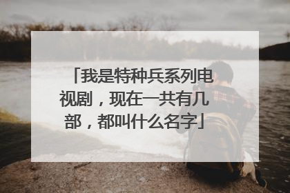 我是特种兵系列电视剧，现在一共有几部，都叫什么名字