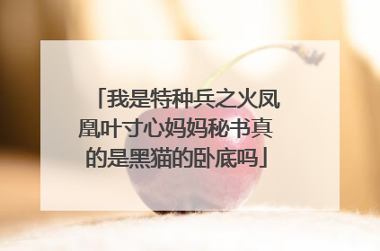 我是特种兵之火凤凰叶寸心妈妈秘书真的是黑猫的卧底吗