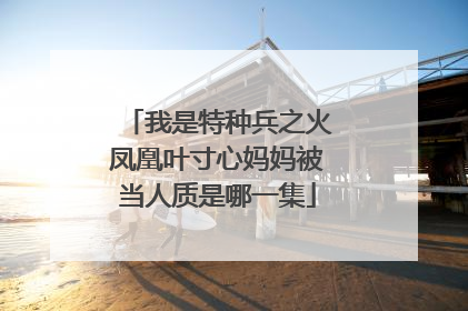 我是特种兵之火凤凰叶寸心妈妈被当人质是哪一集