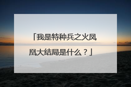 我是特种兵之火凤凰大结局是什么?