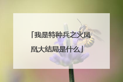 我是特种兵之火凤凰大结局是什么