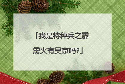 我是特种兵之霹雳火有吴京吗?