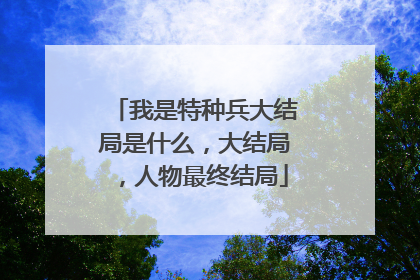 我是特种兵大结局是什么,大结局,人物最终结局