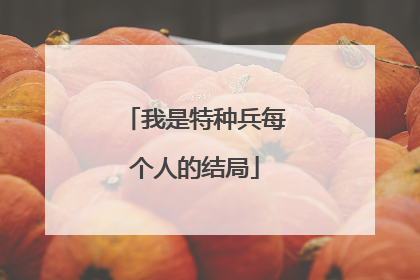 我是特种兵每个人的结局