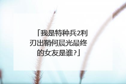 我是特种兵2利刃出鞘何晨光最终的女友是谁?