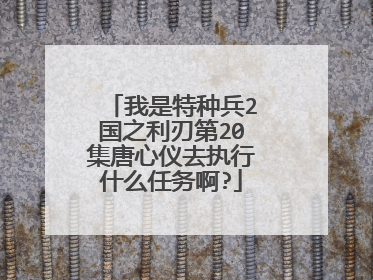 我是特种兵2国之利刃第20集唐心仪去执行什么任务啊?