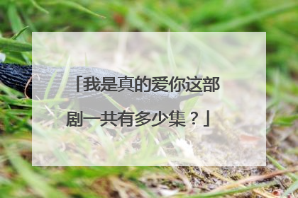 我是真的爱你这部剧一共有多少集？