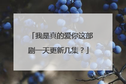 我是真的爱你这部剧一天更新几集？