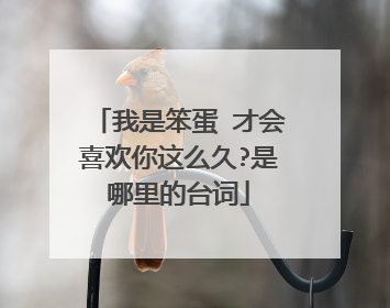 我是笨蛋 才会喜欢你这么久?是哪里的台词