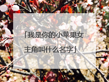 我是你的小苹果女主角叫什么名字