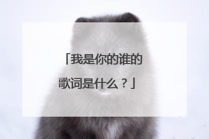 我是你的谁的歌词是什么?